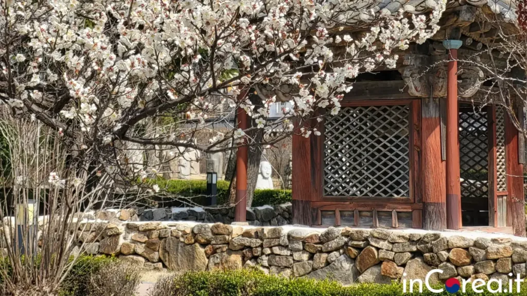 Quando andare in Corea? Stagione e periodo migliore per un viaggio in Corea del Sud